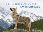 Sněžná vlčice: Zimní příběh online
