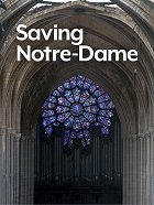 Záchrana katedrály Notre Dame online