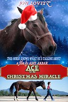 Ace & the Christmas Miracle online