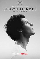 Shawn Mendes: In Wonder online